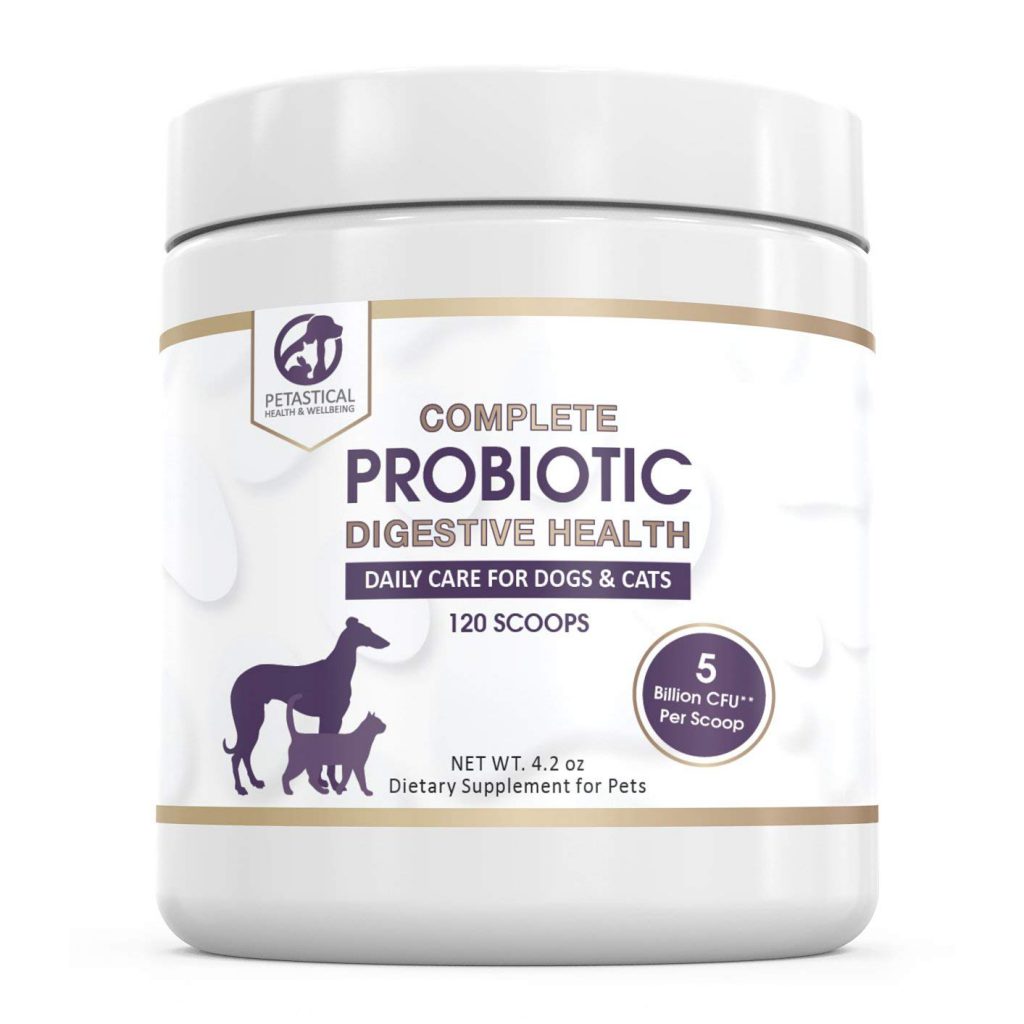 Petastical Probiotic Powder for Dogs and Cats (120 Scoop) - Petastical