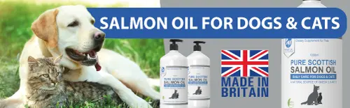 Pure Salmon Oil 5 Litre - Salmon Oil for Dogs, Cats & Ferrets