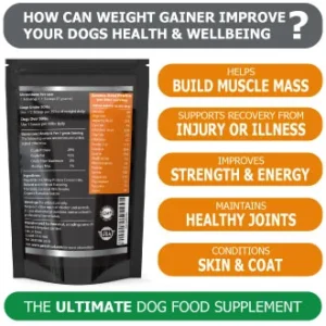 can you give your dog whey protein