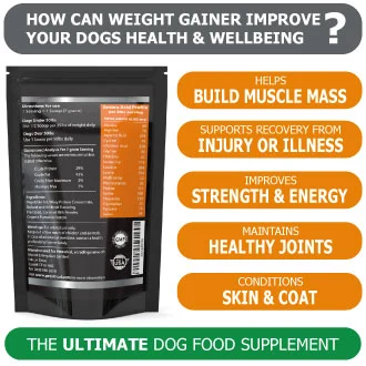 Protein powder for dogs weight outlet gain