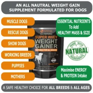 is whey good for dogs