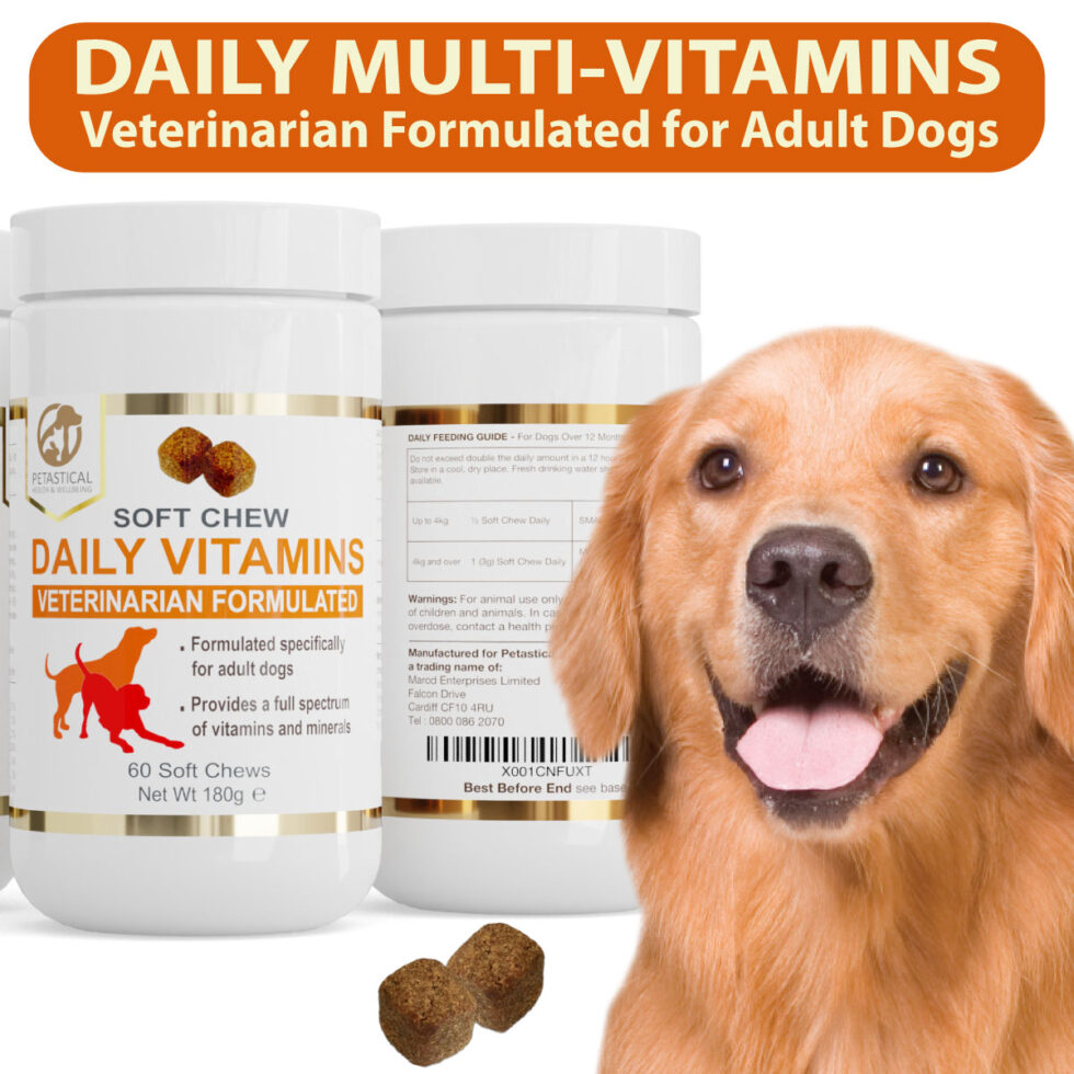 Daily Multi Vitamins and Minerals for Dogs Petastical