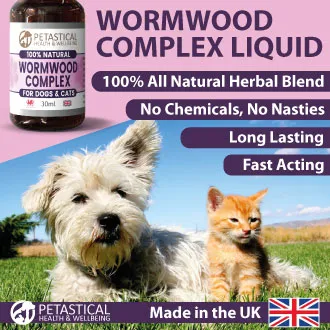 Petastical Wormwood For Dogs, Natural Dog Wormer, Cat Wormer Liquid ...